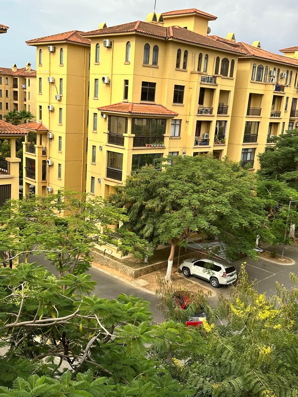 APARTAMENTO T3 NO JARDIM DE ROSAS