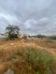 TERRENO DE 5.000M2 NO NOVA VIDA