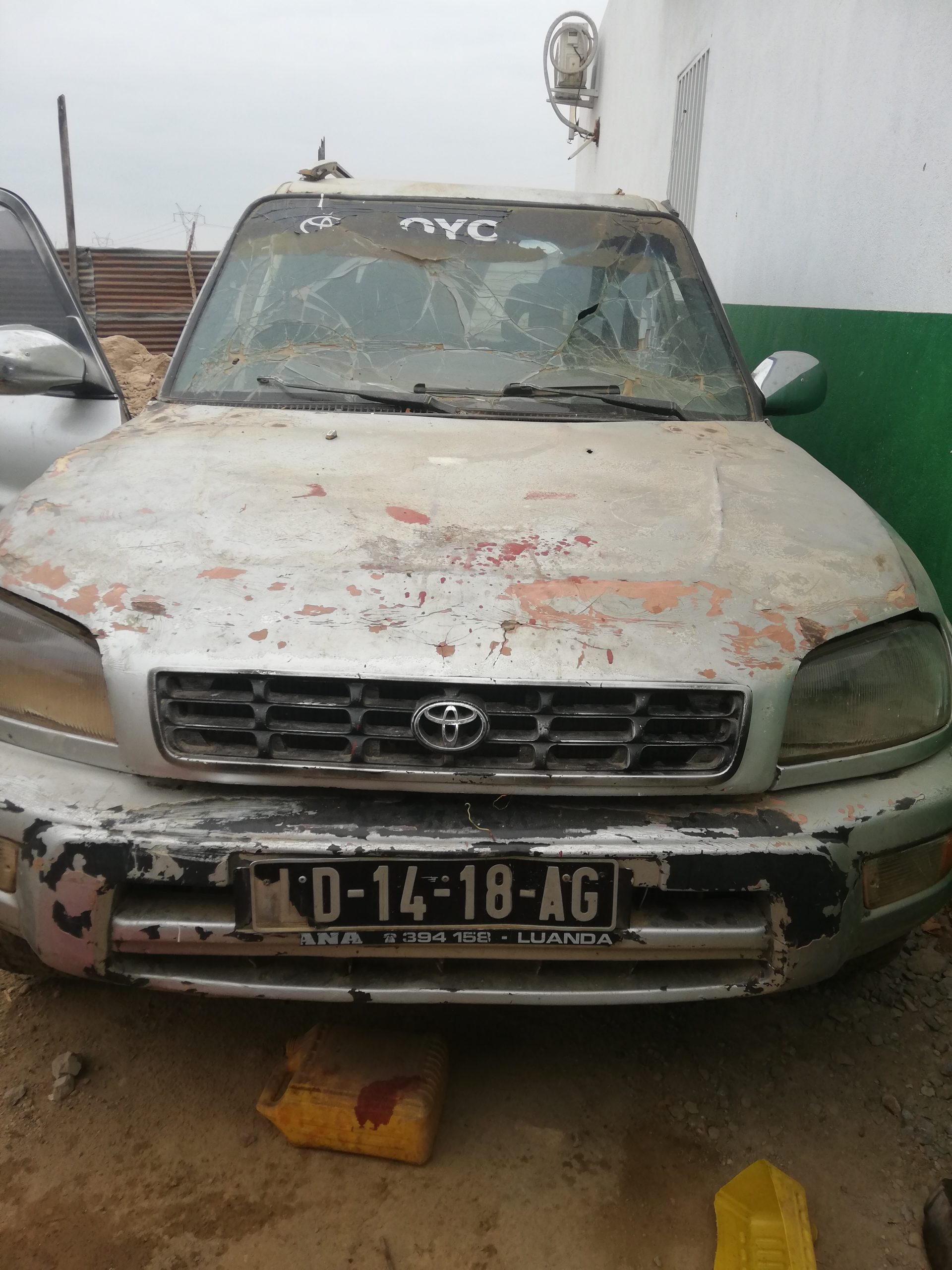 RAV4 FAMÍLIA