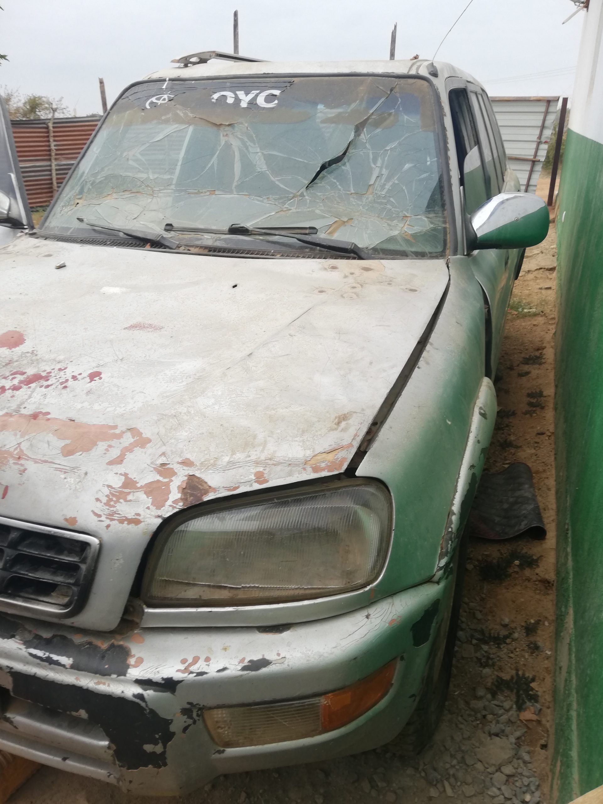 RAV4 FAMÍLIA