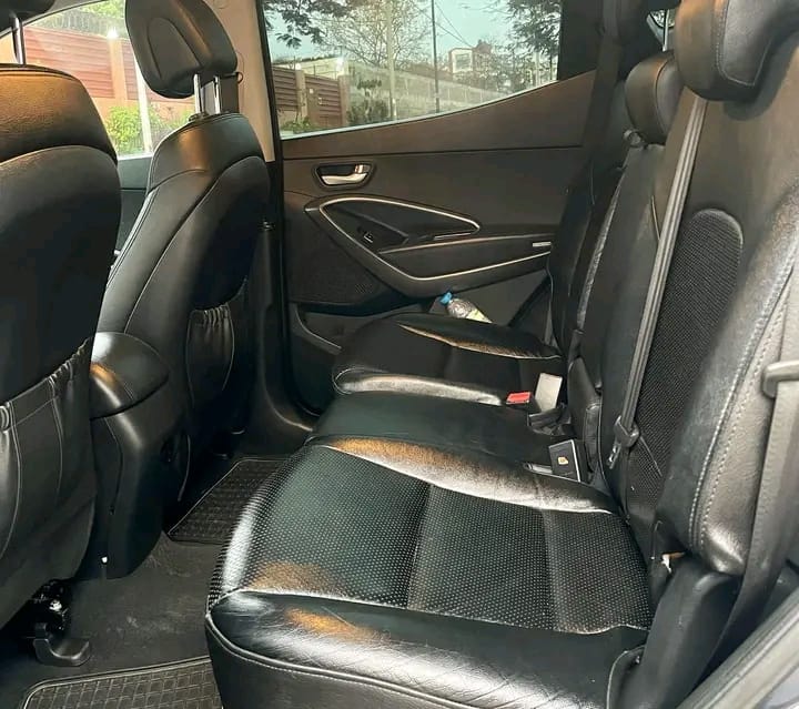 •Hyundai SantaFé
