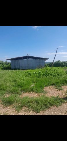 Fazenda a venda