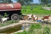 Fazenda a venda