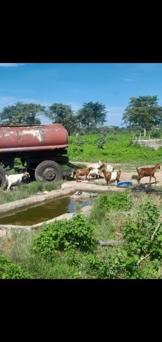 Fazenda a venda