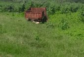 Fazenda a venda