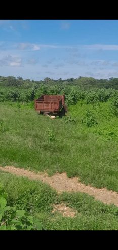 Fazenda a venda