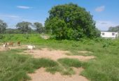 Fazenda a venda