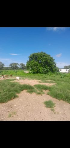 Fazenda a venda