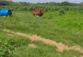 Fazenda a venda