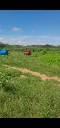 Fazenda a venda