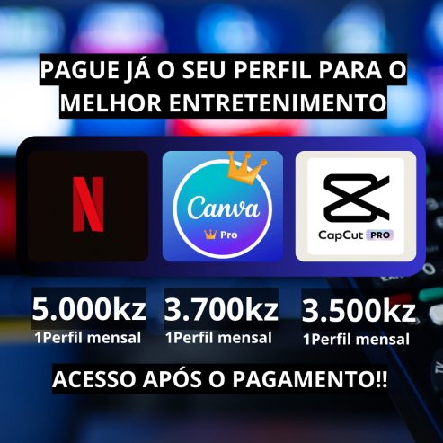 Serviços de streaming ( Netflix)