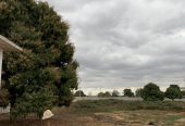 Terreno de 2 hectares à venda