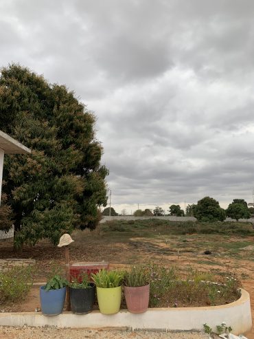 Terreno de 2 hectares à venda