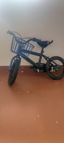 Bicicleta infantil