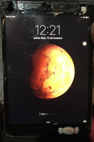 iPad Mini 5 2013