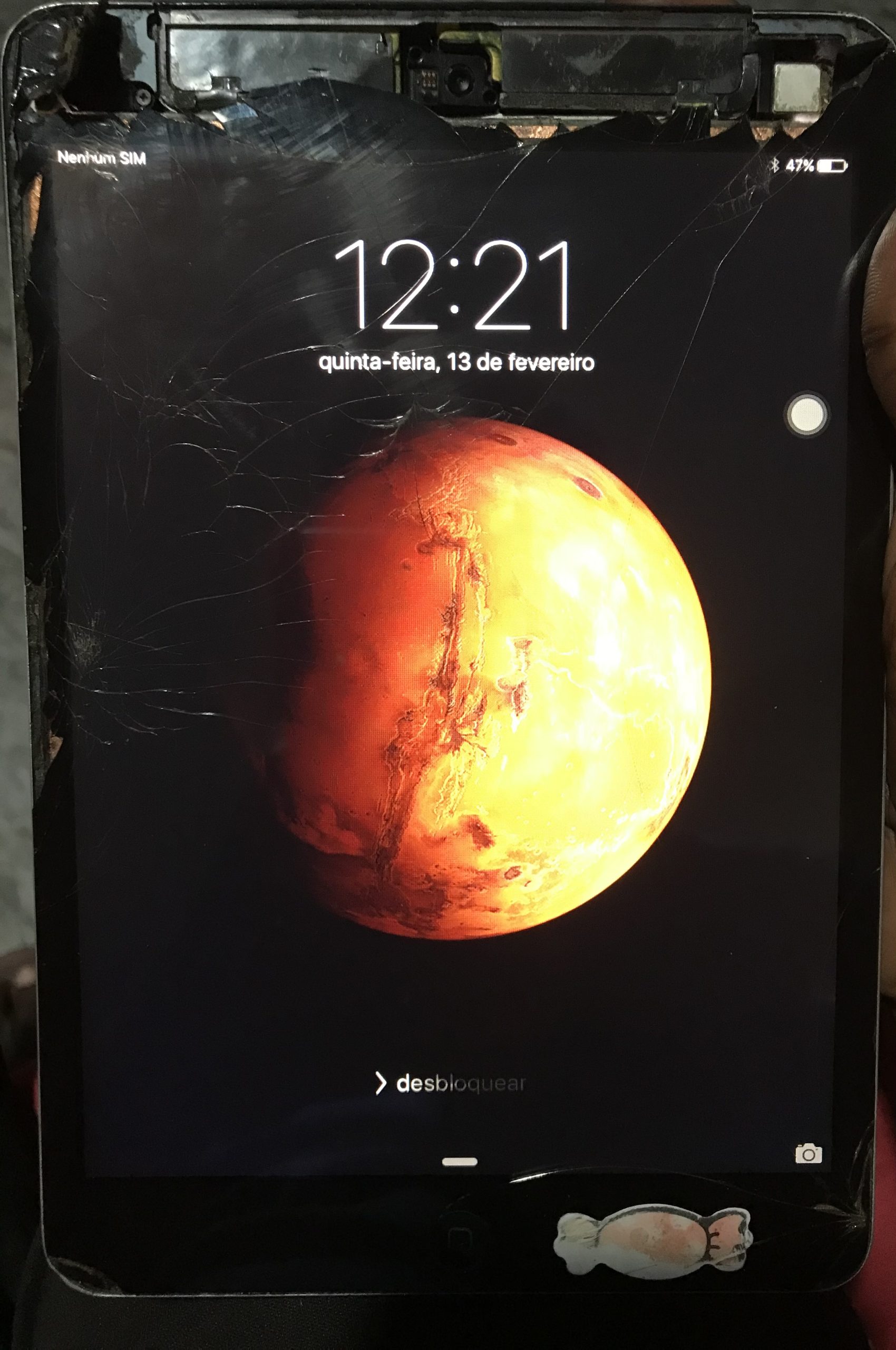 iPad Mini 5 2013