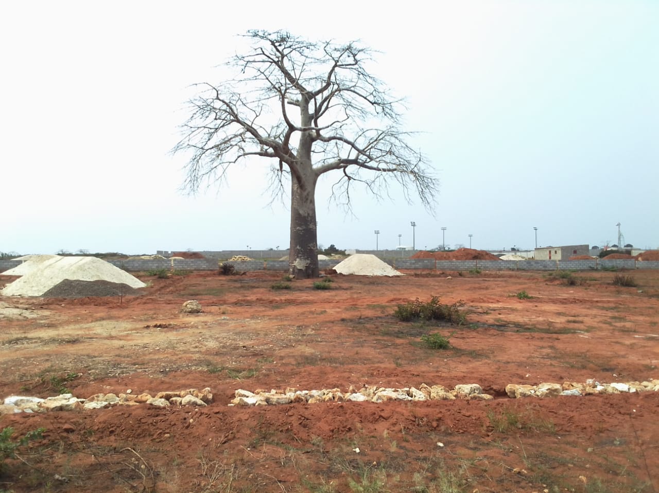 Oportunidade Imperdível! Terreno à Venda na Centralidade de Cacua