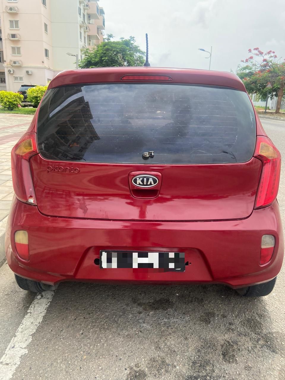AMARROO_ Kia picanto[DY]