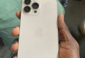 iPhone 13 Pro Max – 256Gb