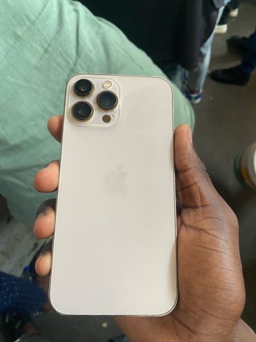 iPhone 13 Pro Max – 256Gb