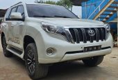 TOYOTA PRADO TXL[DM]