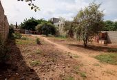 Terreno à venda na zona verde Rua 17