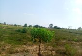 TERRENO À VENDA NO RAMIRO – MUNICÍPIO DE BELAS