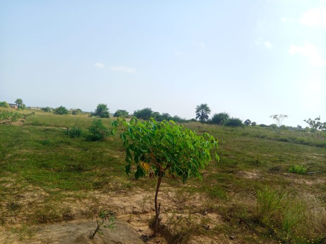 TERRENO À VENDA NO RAMIRO – MUNICÍPIO DE BELAS