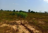 TERRENO À VENDA NO RAMIRO – MUNICÍPIO DE BELAS