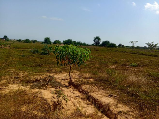 TERRENO À VENDA NO RAMIRO – MUNICÍPIO DE BELAS