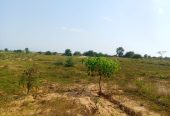 TERRENO À VENDA NO RAMIRO – MUNICÍPIO DE BELAS