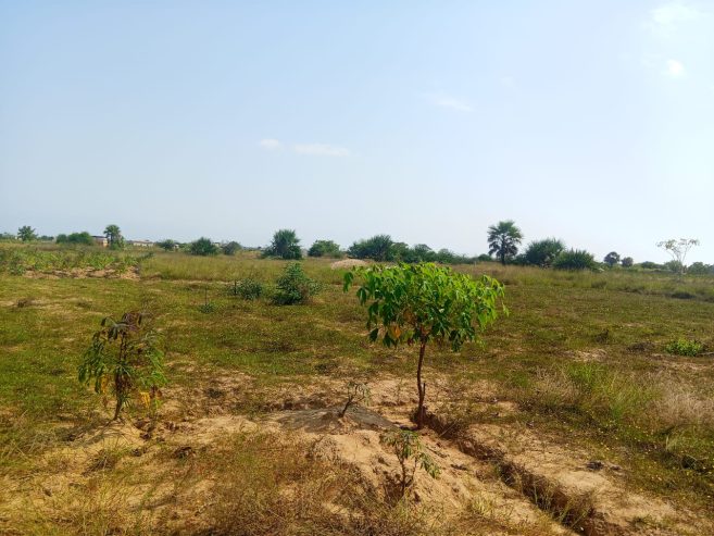 TERRENO À VENDA NO RAMIRO – MUNICÍPIO DE BELAS