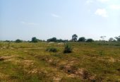 TERRENO À VENDA NO RAMIRO – MUNICÍPIO DE BELAS
