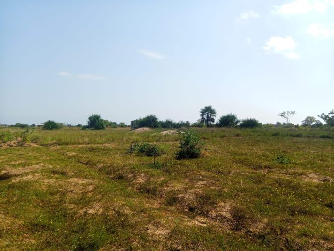 TERRENO À VENDA NO RAMIRO – MUNICÍPIO DE BELAS