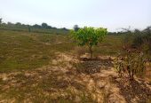 TERRENO À VENDA NO RAMIRO – MUNICÍPIO DE BELAS