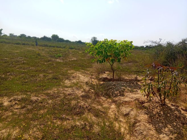 TERRENO À VENDA NO RAMIRO – MUNICÍPIO DE BELAS