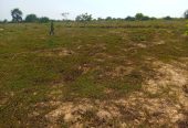 TERRENO À VENDA NO RAMIRO – MUNICÍPIO DE BELAS