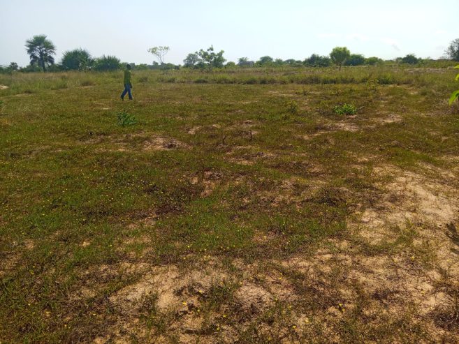 TERRENO À VENDA NO RAMIRO – MUNICÍPIO DE BELAS