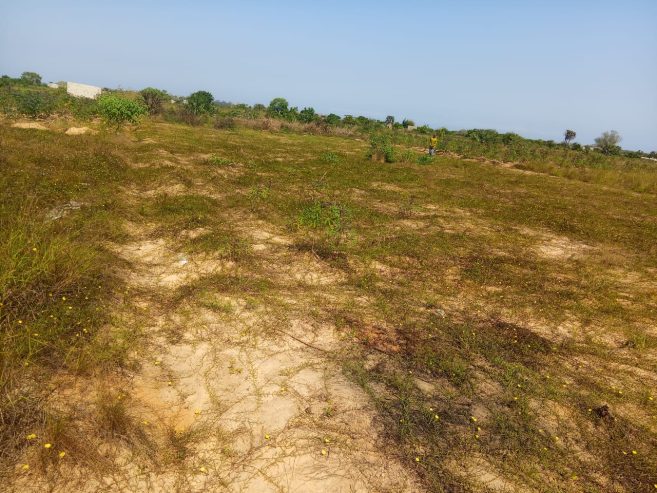 TERRENO À VENDA NO RAMIRO – MUNICÍPIO DE BELAS